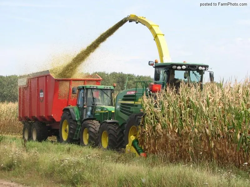 Maïs hakselen met een groene trekker en kipperkar